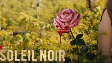 ¡Serie 5 similar al Sol Negro que debería complacerlo!