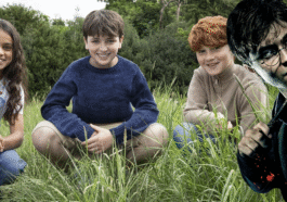 Harry Potter: Esta serie de la serie podría golpear la puerta después de la temporada 1