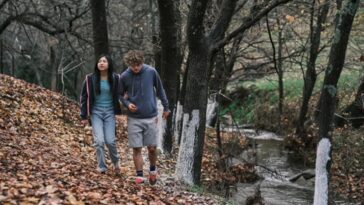 Trae la sustitución: ¿dónde mirar en la transmisión?