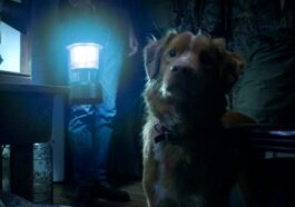 ¿El perro muere en Good Boy? ¿Indy sobrevive?