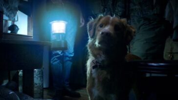 ¿El perro muere en Good Boy? ¿Indy sobrevive?