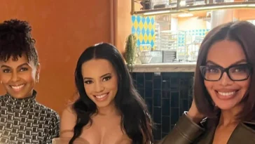 Beauty in Black Season 2: ¿Dónde está Gillian? ¿Joy Rovaris dejó la serie?