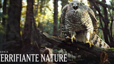 Terrify Nature Season 2: ¿Qué fecha de lanzamiento de Netflix?