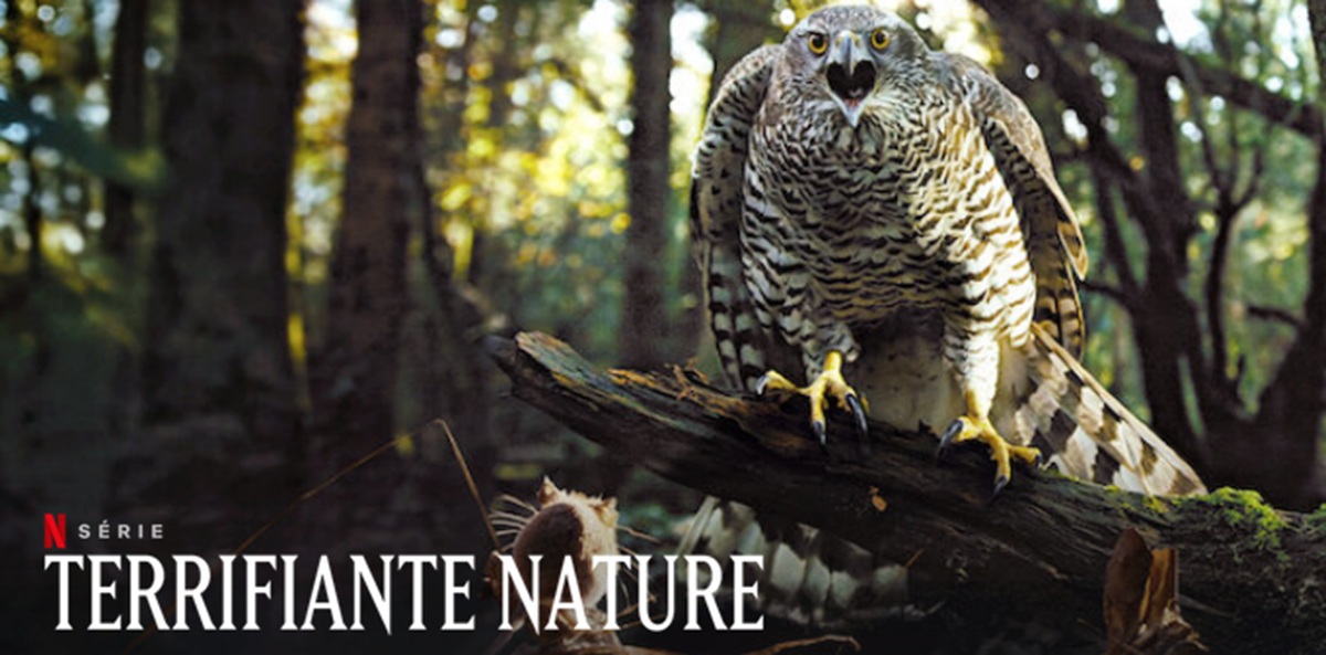 Terrify Nature Season 2: ¿Qué fecha de lanzamiento de Netflix?