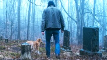 Buen chico: ¡Explicación del final! ¿Está muerto el perro Indy?