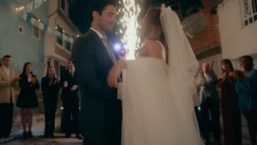 Alicia Tout Simply Temporada 1: ¿Está inspirada en una historia real?