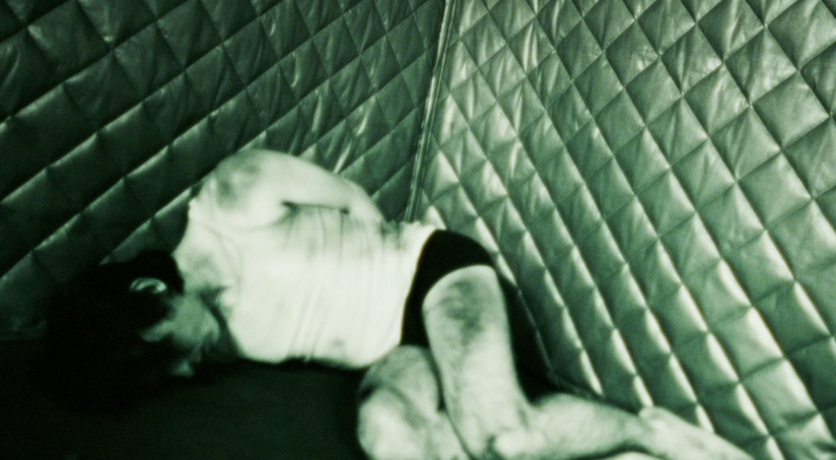 La bestia en mí Temporada 1: ¿Quién mató a Teddy Fenig?