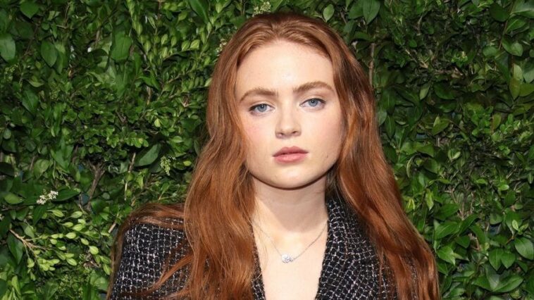 Guerras Secretas de los Vengadores: Sadie Sink se une a la película del MCU, ¿pero quién interpreta? (teorías)