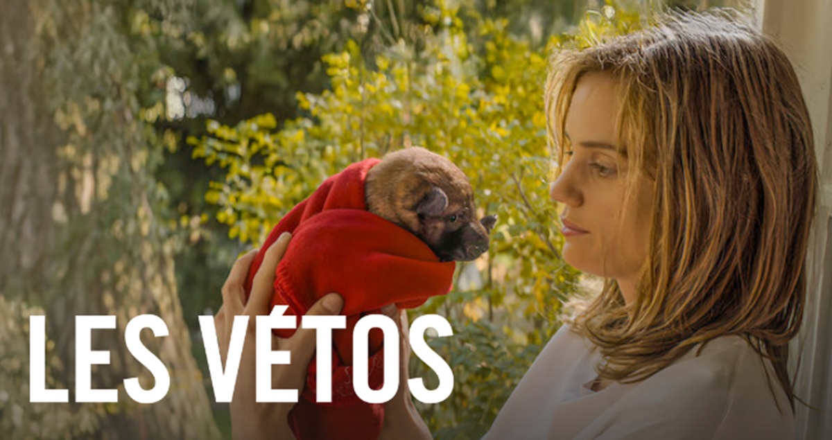 ¿Qué fecha de estreno tendrá la secuela de la película Les Vétos?