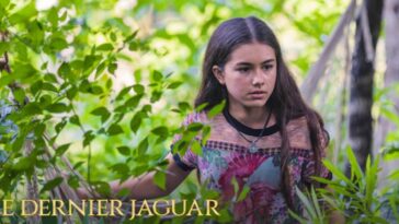 El último Jaguar 2: ¿Qué fecha de lanzamiento? ¿Una secuela planificada?