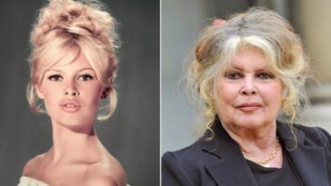 Brigitte Bardot: ¿Por qué fue controvertida?