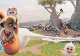 Tafiti: ¿Desde qué edad para los niños?