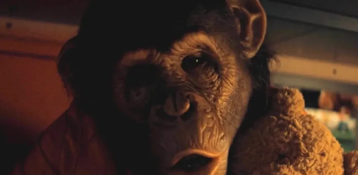 Primate: ¿Desde qué edad para los niños?