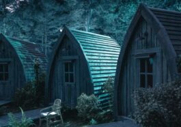 Hombres lobo Temporada 2: ¡Explicación del final! ¿Quién ganó?