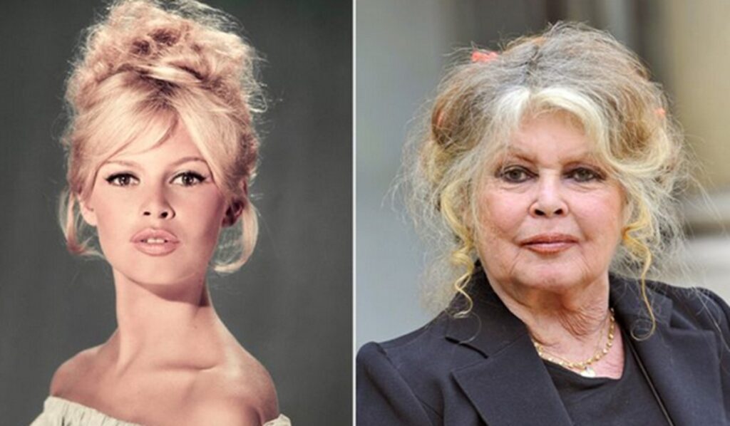 La controversia de Brigitte Bardot
