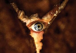 Regreso a Silent Hill: ¿Desde qué edad para los niños?