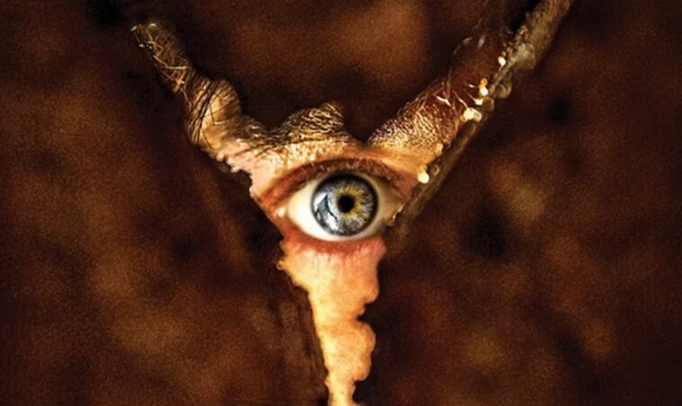 Regreso a Silent Hill: ¿Desde qué edad para los niños? 1 Regreso a Silent Hill: ¿Desde qué edad para los niños?