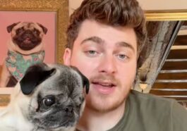 ¿Mentiría Cyril Schreiner sobre el robo de su perro Albert?