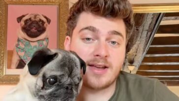 ¿Mentiría Cyril Schreiner sobre el robo de su perro Albert?