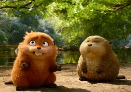 Saltadores: ¿A partir de qué edad para los niños?