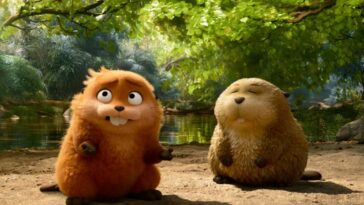 Saltadores: ¿A partir de qué edad para los niños?