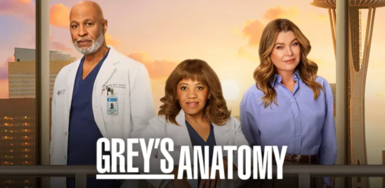 Anatomía de Grey: La serie médica regresará para una temporada 23 1 Anatomía de Grey: La serie médica regresará para una temporada 23