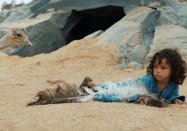 El Niño del Desierto: ¿Desde qué edad para los niños?