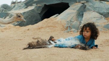 El Niño del Desierto: ¿Desde qué edad para los niños?