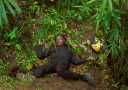 Bandi Temporada 1: ¡Explicación del final! ¿Kingsley está muerto?