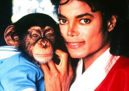 Michael: ¿Bubbles el mono de Michael Jackson es real o CGI?