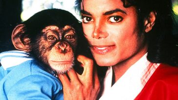 Michael: ¿Bubbles el mono de Michael Jackson es real o CGI?