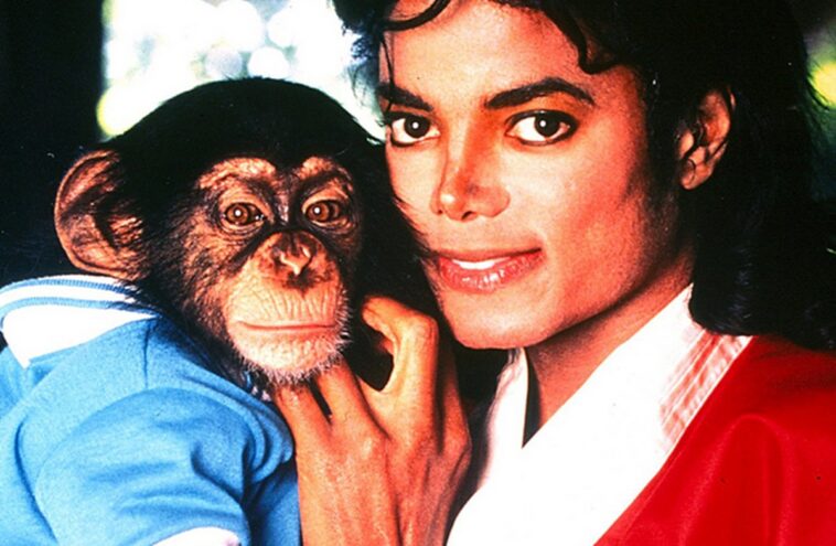 Michael: ¿Bubbles el mono de Michael Jackson es real o CGI? 1 Michael: ¿Bubbles el mono de Michael Jackson es real o CGI?