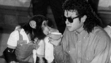 Michael: ¿Qué le pasa hoy a Bubbles, el mono de MJ?