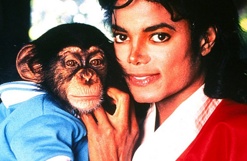 Michael: ¿Bubbles el mono de Michael Jackson es real o CGI? 2 michael jackson mono burbuja