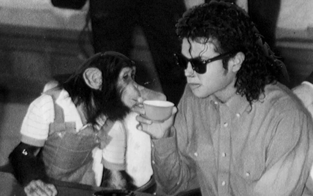 Michael: ¿Qué le pasa hoy a Bubbles, el mono de MJ? 2 mono burbujas hoy michael