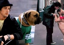 Rocky: ¿El perro Butkus realmente pertenecía a Stallone?