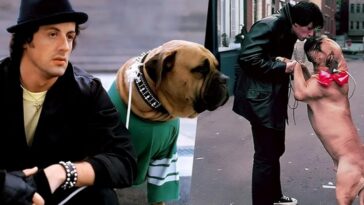 Rocky: ¿El perro Butkus realmente pertenecía a Stallone?