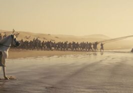La Odisea: ¿Dónde ver en streaming? Plataforma ?